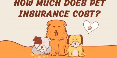 pet insurance